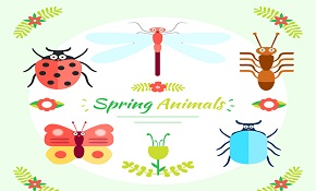 5 cartoon spring insect vector mate